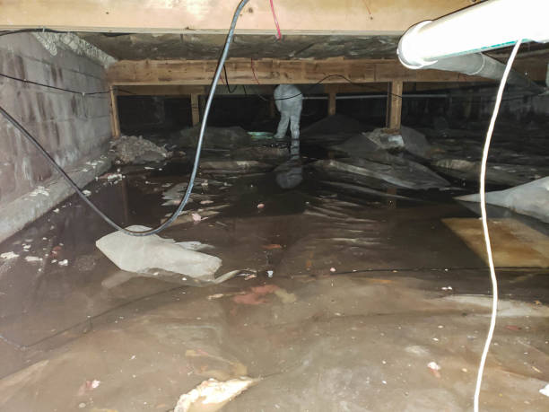 Trusted Water Damage Restoration in Stonybrook, PA | Fast, Reliable, and Ready to Assist You